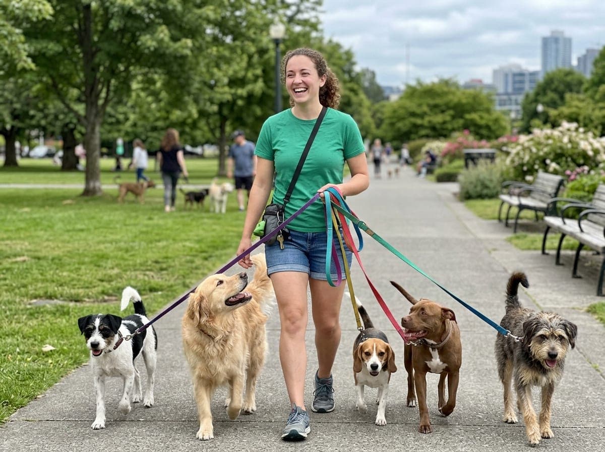 A person holding a ring of house keys walks a golden retriever down a sunny street.